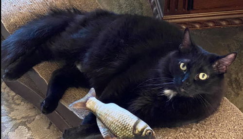 Sebastian