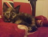 Jubilee