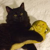 Lil Bit