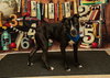WOODY - Photo 1