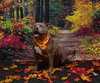 BISCUIT - Photo 1