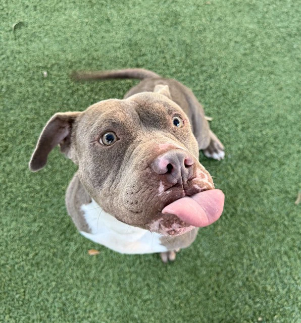 Atom