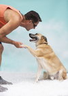 Sarge  â Tennis Pro - Photo 3