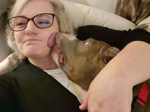 picture of the dog needing adoption