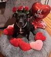 Chyna - - Photo 1