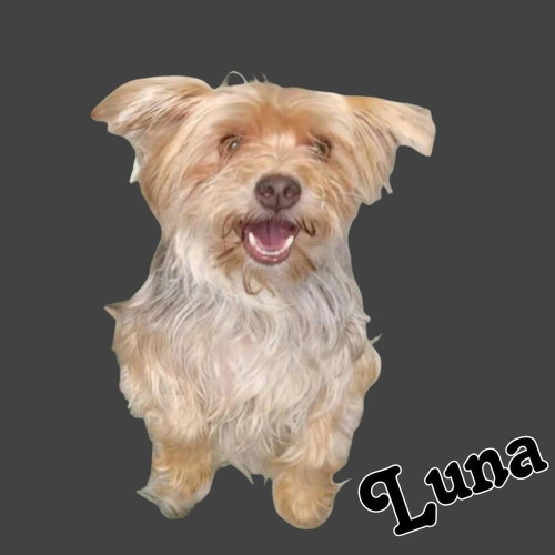 Luna photo 2