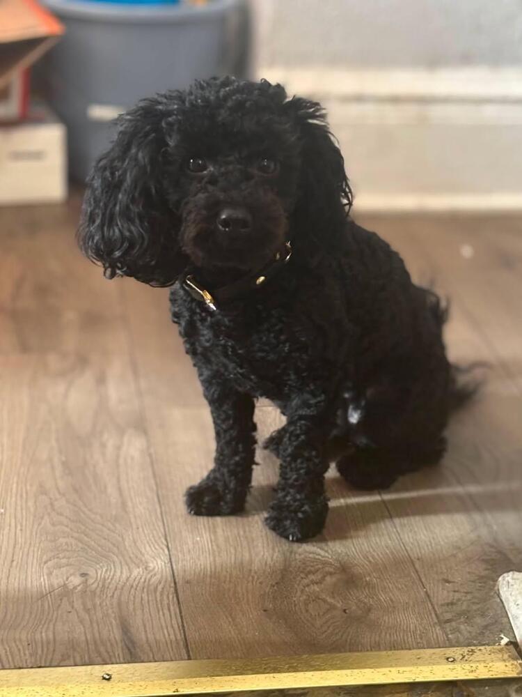 Tiny