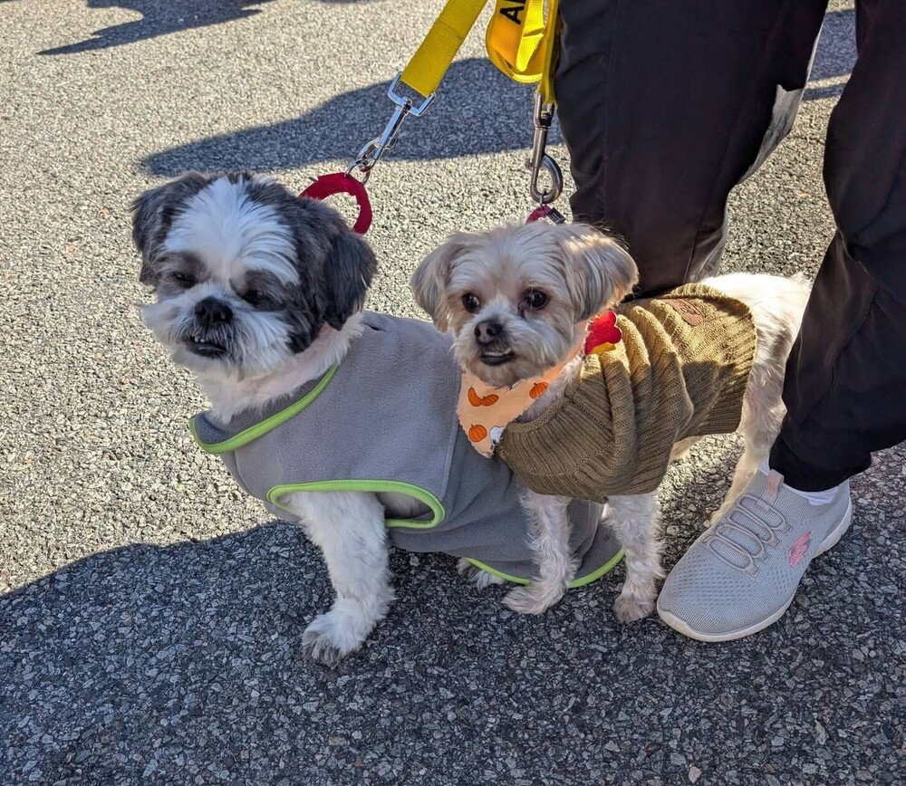 Miley and Oreo