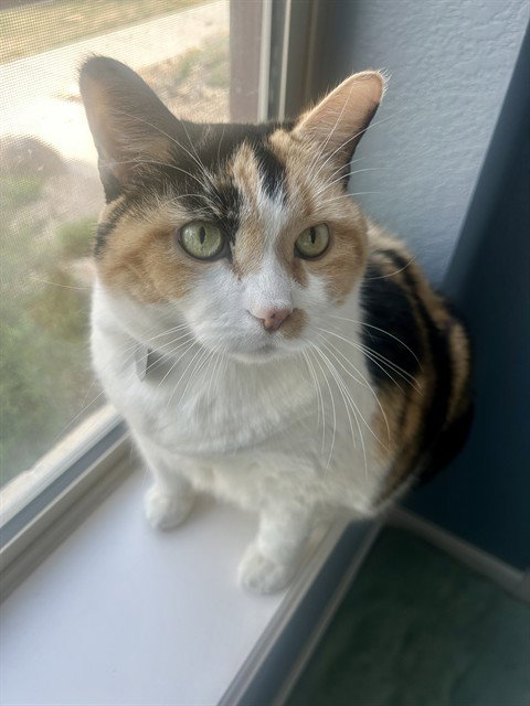 LUCY