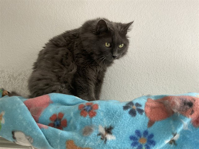 NORA