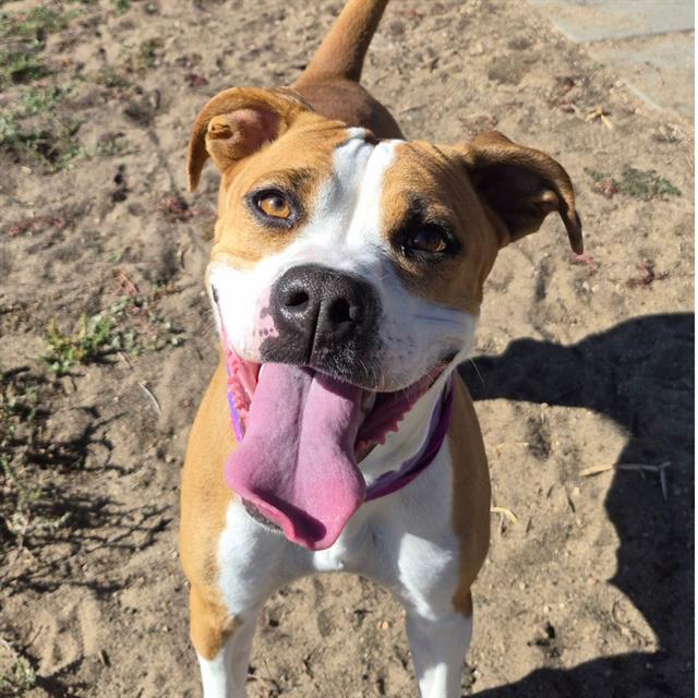 NALA