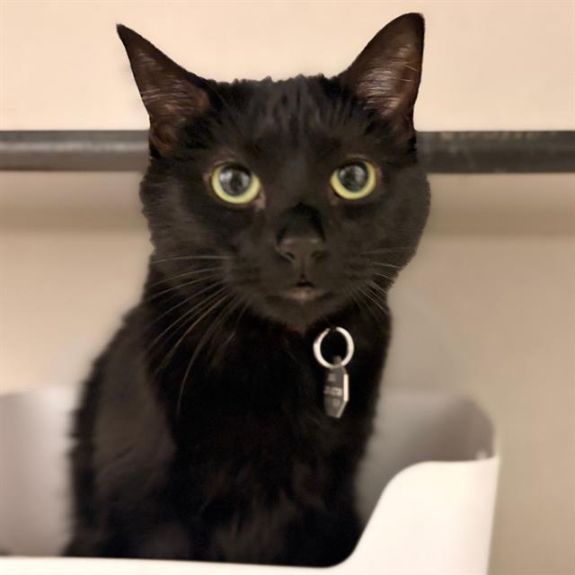 KURO