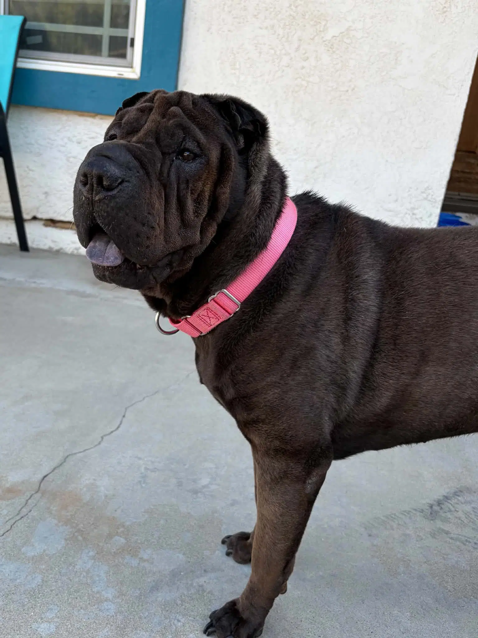 Rolls image 3