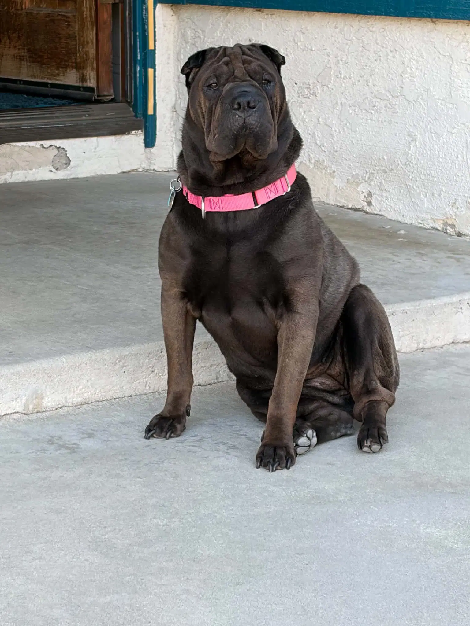 Rolls image 4