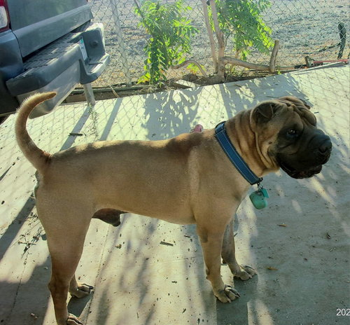 Photo 5 of Baron von Wrinkles