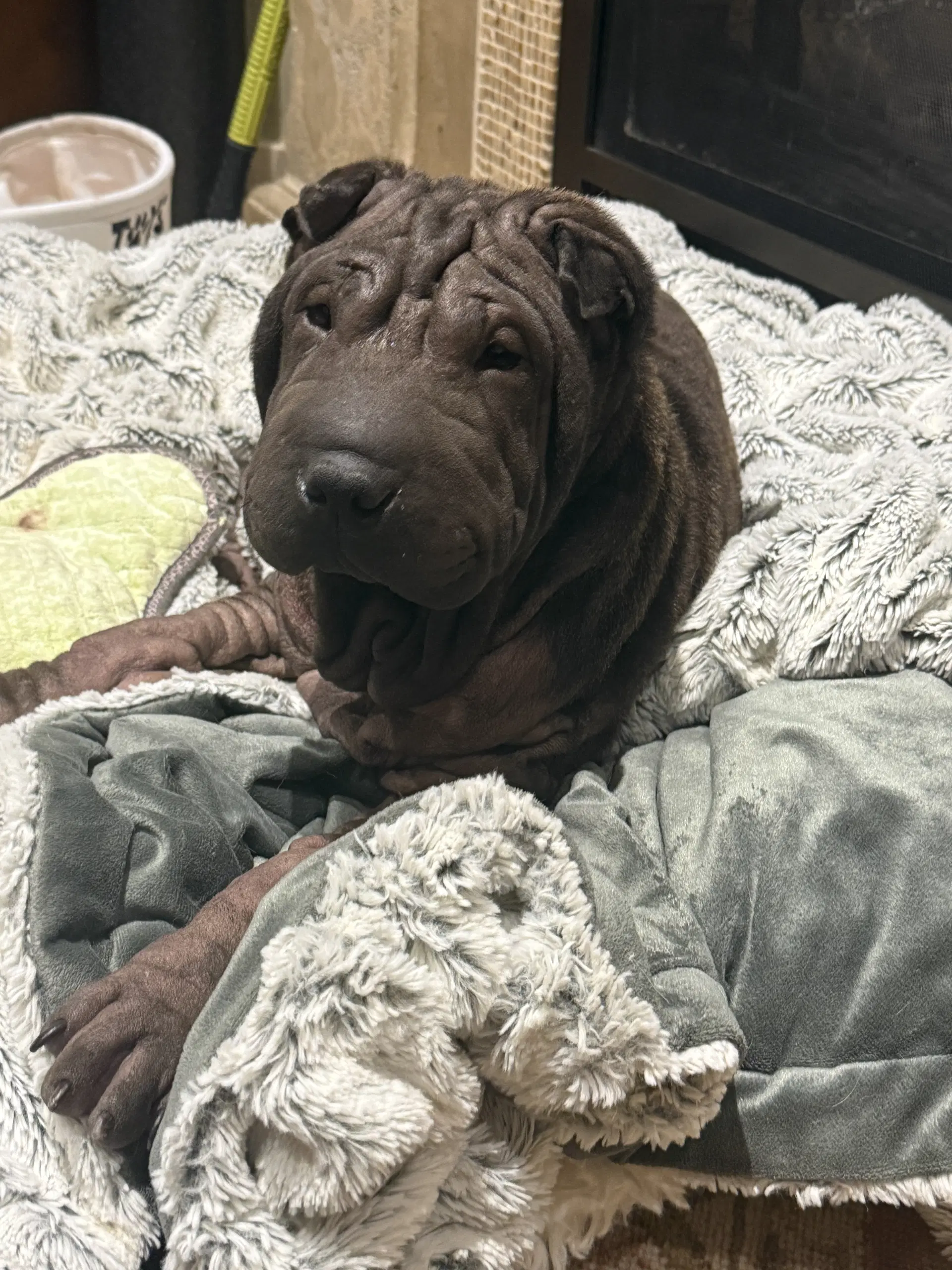 Tootsie image 3