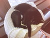 Midnight - Photo 8