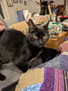 Soda - Photo 8