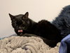 Soda - Photo 4