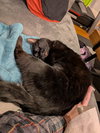 Soda - Photo 1