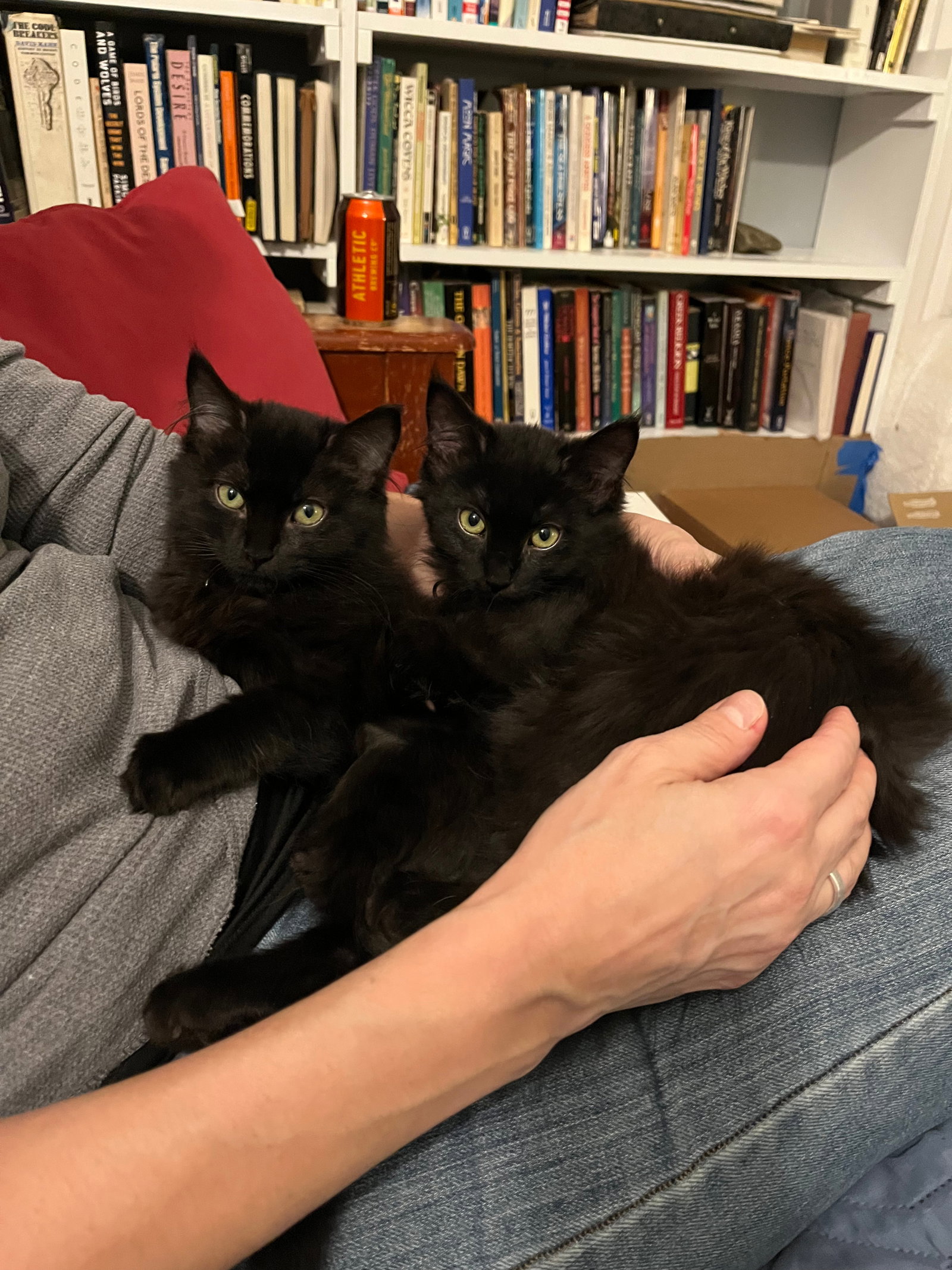 Rudy and Hermie Image