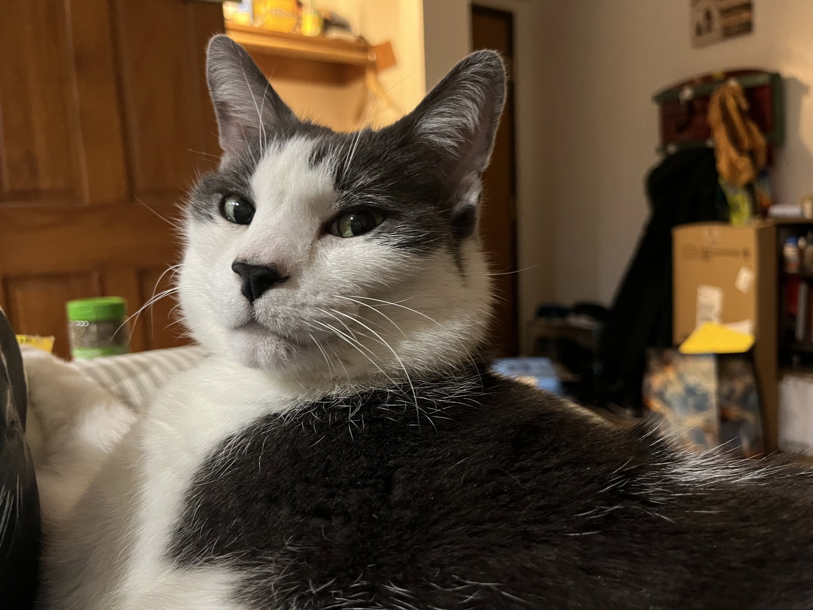 Beau