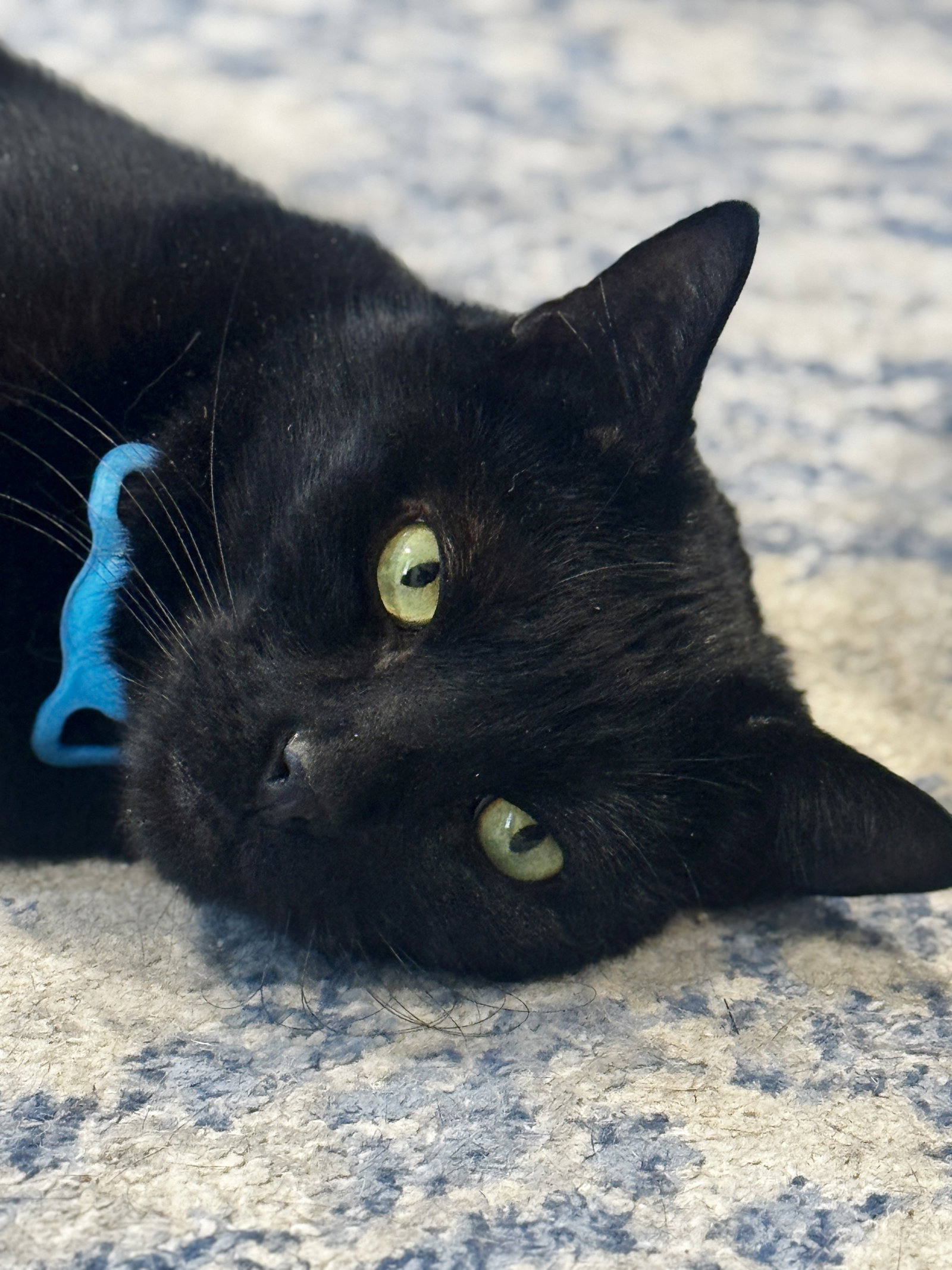 Quincy