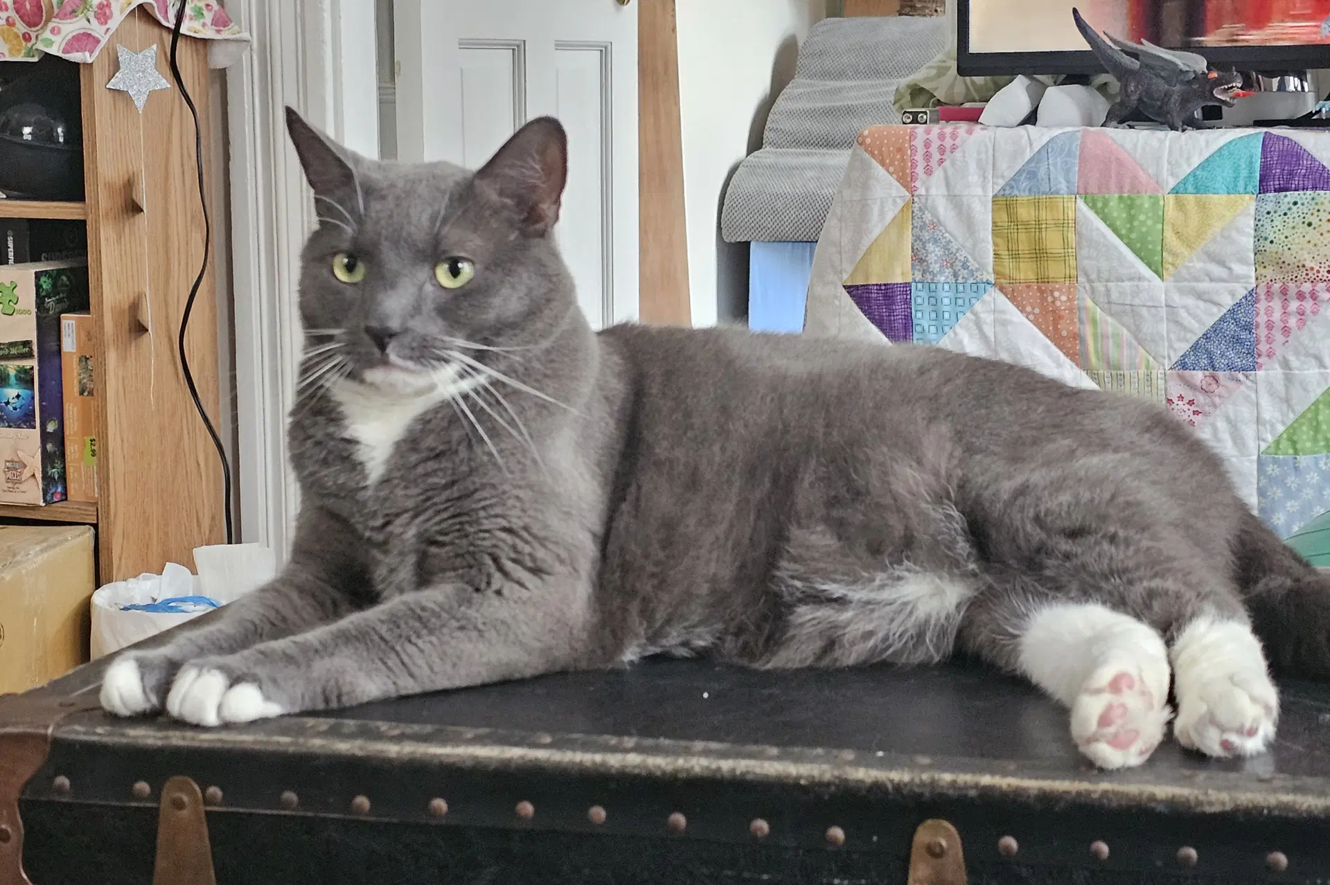 Bruce image 2