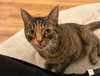 Sasha - Photo 1