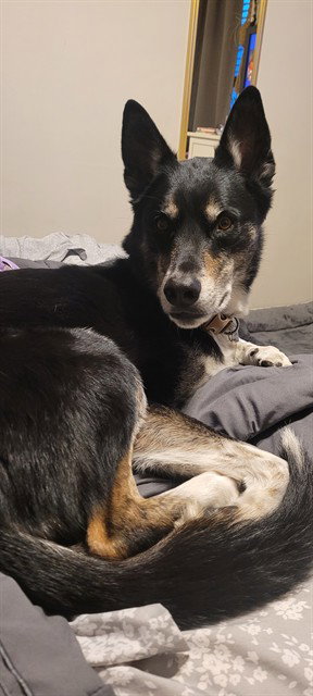 Zeke