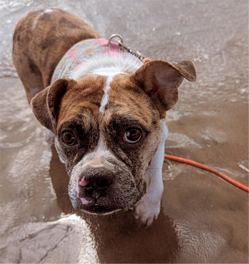 Photo 3 of Mabel