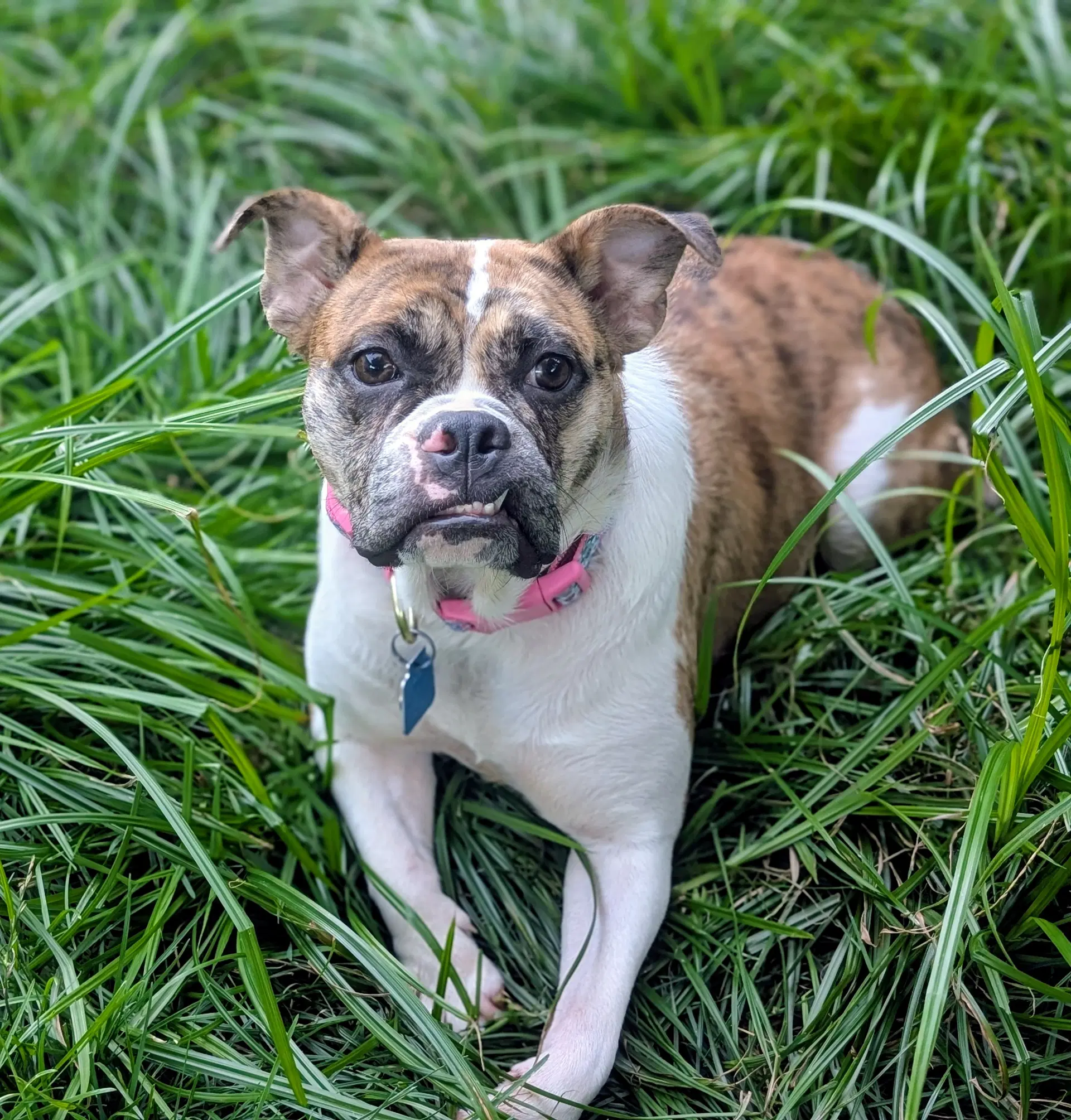 Mabel image 2