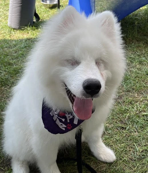 Boris