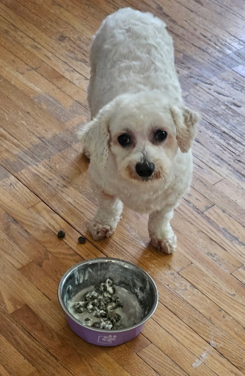 Betsy, photo 5