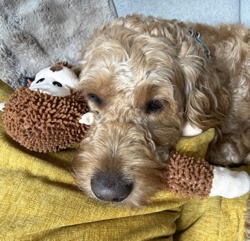 Photo 6 of Farley