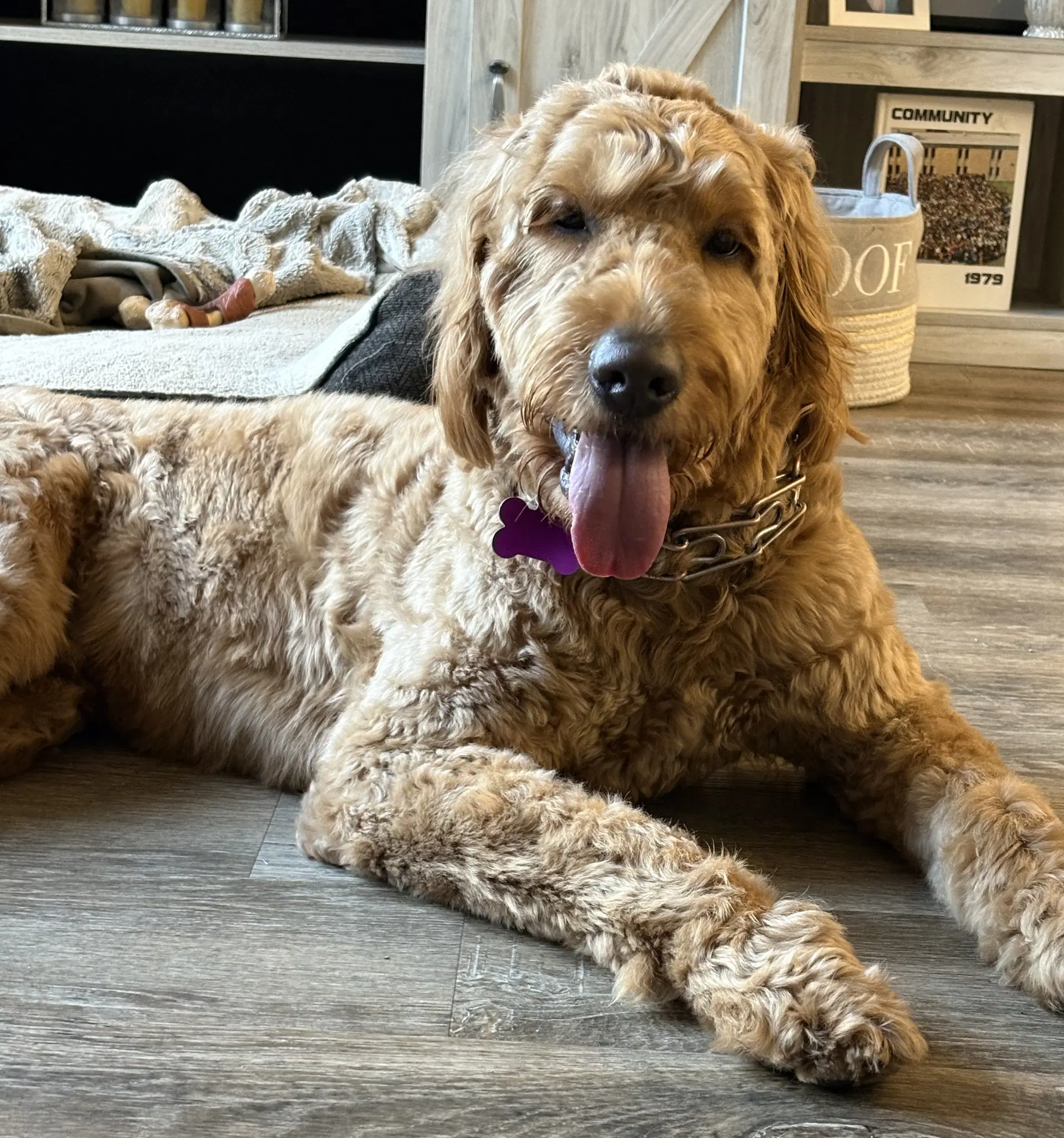 Farley image 2