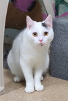 6795 (Nibbles) - Photo 1