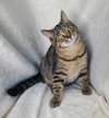 6763 (Baker) - Photo 1