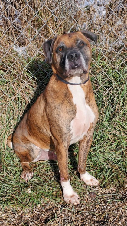 Hank (6849)