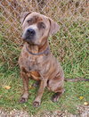 Kato (6867) - Photo 1