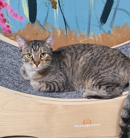 6894 (Ellie), photo 2