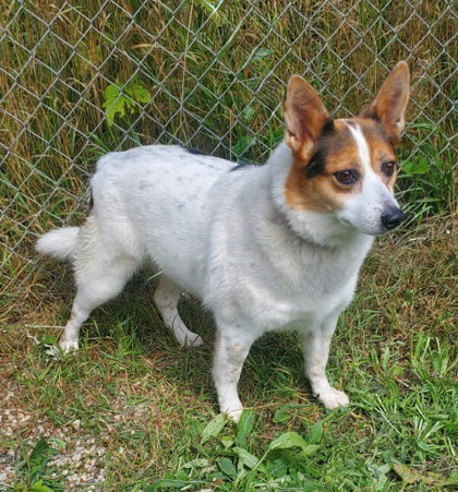 Lucy (7186), photo 2