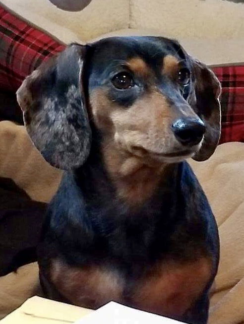 Greta3 (Bonded pair with Sophia)