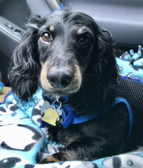 Charlie3