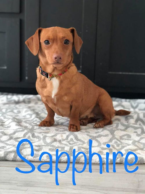 Sapphire