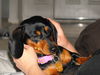 Reese