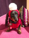 Romeo2