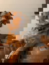 Rusty4