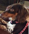 Charlie5