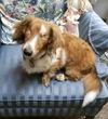 Tucker2